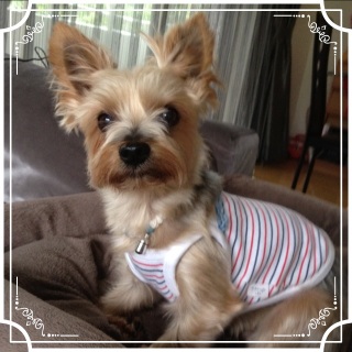 �m����