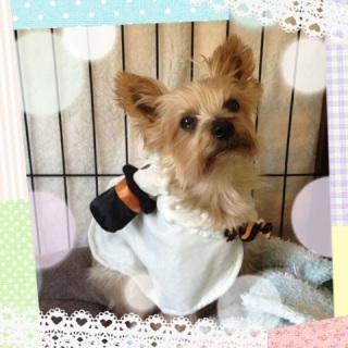 Happy  Halloween��