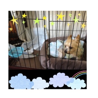 �g�C���]�[��