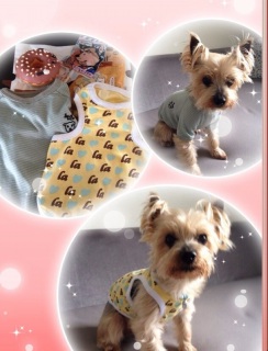 �a�v����