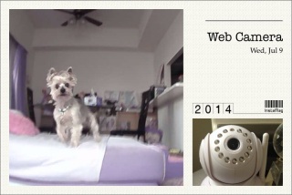 Web Camera