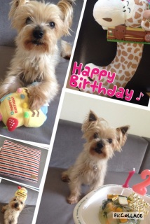 Happy Birthday ��