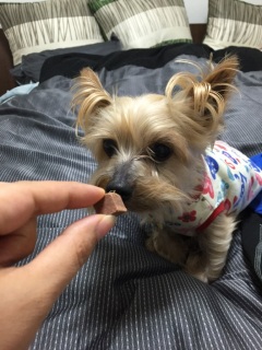 �t�B�����A