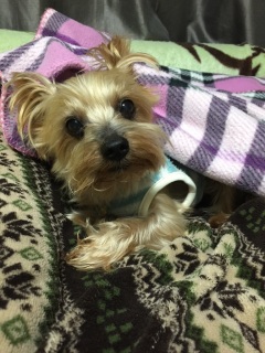 �X�J���N
