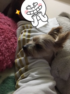 �r��