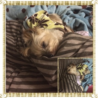 �Q�����[�k
