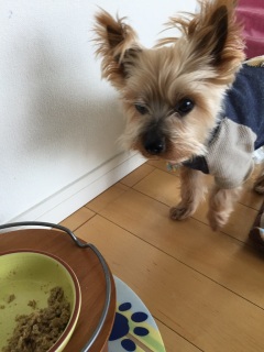 �C���Ɂc